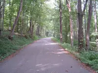 Traveling The Heartland 083.webp