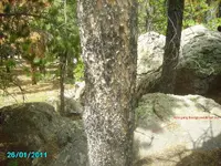 Camping 2011 014.webp