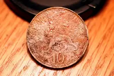 NH FINDS 07-19 004.webp