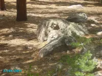 Camping 1 2011 037.webp