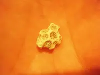 MD Finds 020.webp