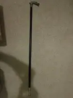 cane1.webp