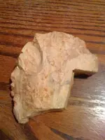 photo.webp