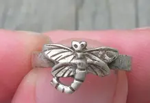D fly ring.webp