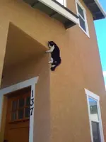 Perfectly Timed #18.webp