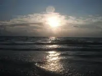 surf.webp