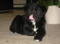 avatar_61930.webp