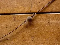 Check Wire Close Up (499x376).webp