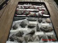 20110826_54.webp