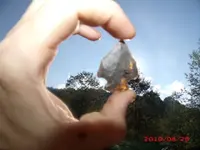 20110826_64.webp