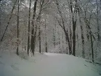 IMG00047-20110108-1041.webp