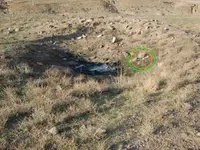 sar-1dowsed.webp