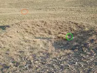 sar-2dowsed.webp