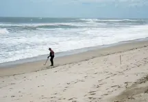 Ambersands Irene 01.webp