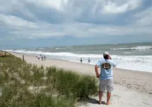 Seagrape Irene 01.webp