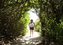 Turtle Trail Irene 01.webp