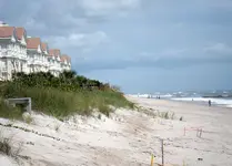 Turtle Trail Irene 02.webp