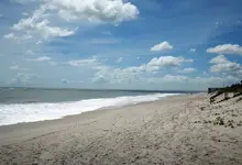 Turtle Trail Irene 03.webp
