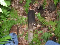 DSCN1175.webp