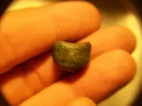 AUG 25 historic homesite hunt with paul 005.webp