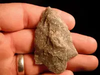 DSCF0684.webp