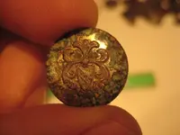 6-28-11 Finds 002.webp