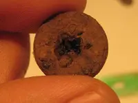 6-28-11 Finds 003.webp