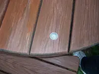 Park Finds#1.webp