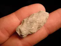 DSCF0699.webp