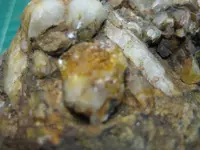 Quartz 06.webp