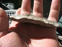 088.webp
