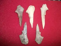 Awls07.webp