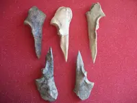 Awls08.webp