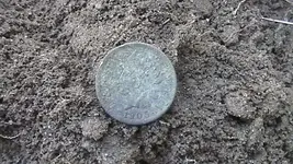 M1260001.webp