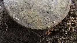 M1260004.webp