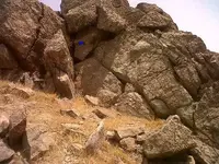 IMG02084-20110730-1508_small1.webp
