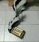 2[1].webp