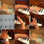 226286574_6d3cc53927.webp