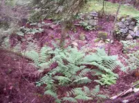 102_0145.webp