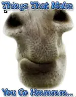 DonkeyMouthAlien_ThingsThatMakeYouGoHmmmm.webp