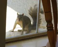 DSCN1281.webp