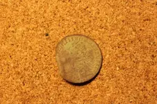 Coin.webp