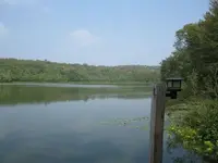 pond3.webp
