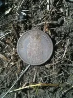 inthefield.webp