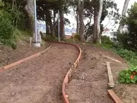 S.F. Finds 7-29-11 013.webp