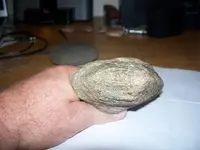 hammer2.webp