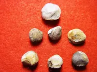 LEAD BALLS.webp