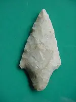 DSC00323.webp