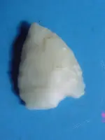 DSC00337.webp