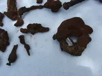 DSCF1212.webp